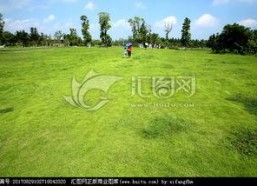 青青青草国产免费,国产影视的清新之作