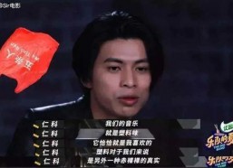 国产你懂,揭秘国产你懂背后的创新与实力