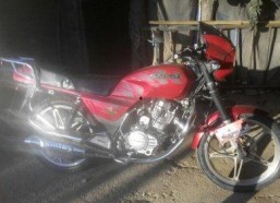 国产125页,深度解析我国科技发展的新篇章